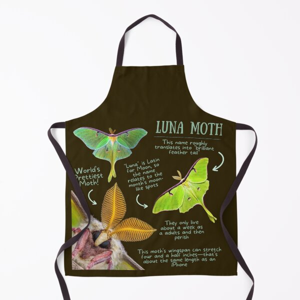 Item preview, Luna Moth Fun Fact designed and sold by KyleNesas.