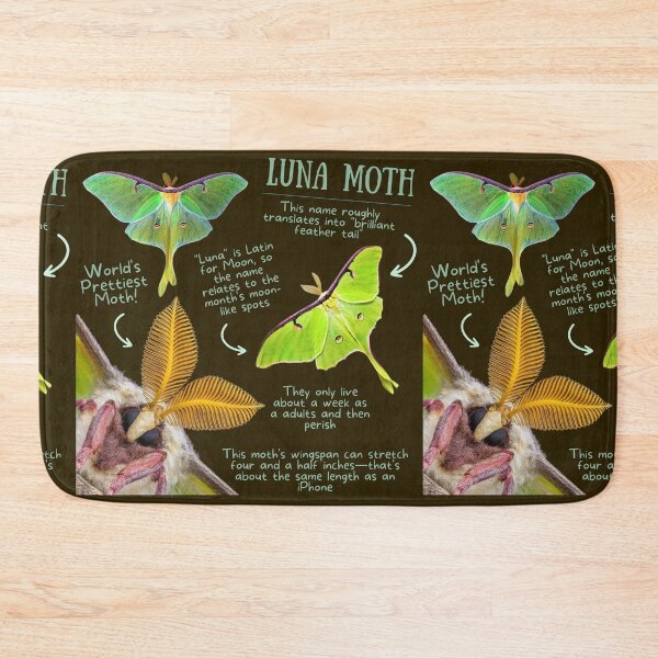 Item preview, Luna Moth Fun Fact designed and sold by KyleNesas.