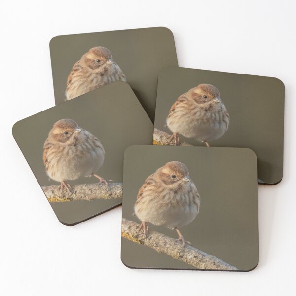 Item preview, Reed Bunting Perching designed and sold by JLP ARTWORKS.