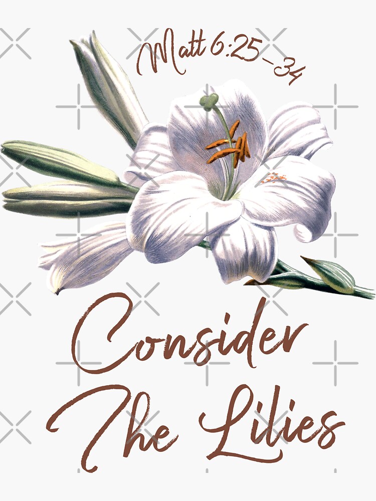"Jesus Said Do Not Worry, Consider The Lilies, They Do Not Toil Nor