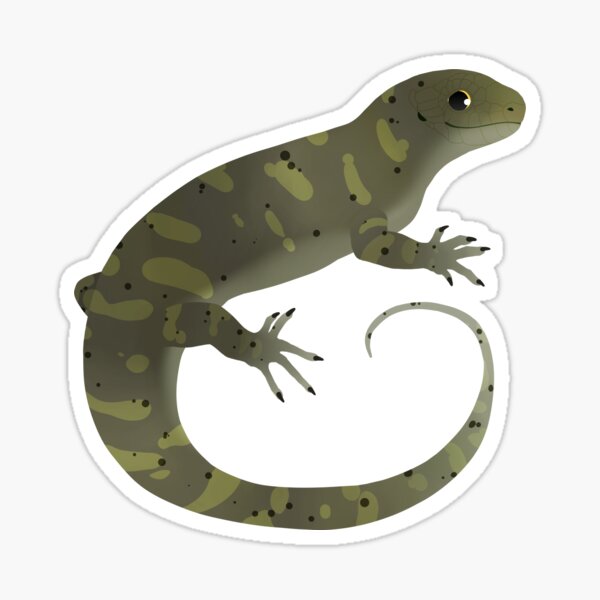 Item preview, Giant Monkey Tailed Skink (Corucia zebrata) designed and sold by shiinzi.