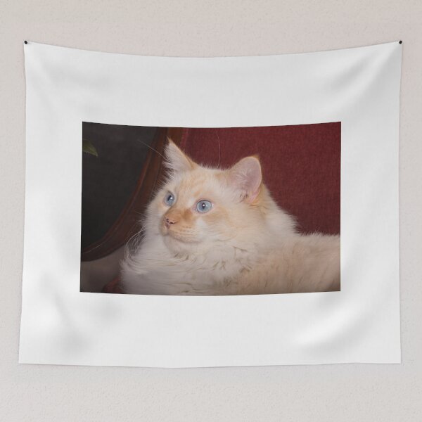 Item preview, Cat Headshot designed and sold by ianmark.