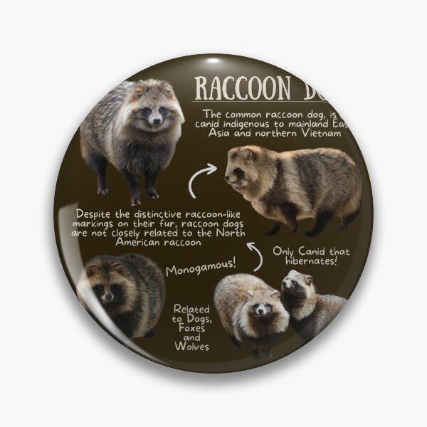 Item preview, Raccoon Dog Fun Fact designed and sold by KyleNesas.