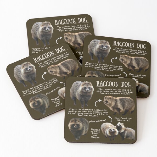 Item preview, Raccoon Dog Fun Fact designed and sold by KyleNesas.