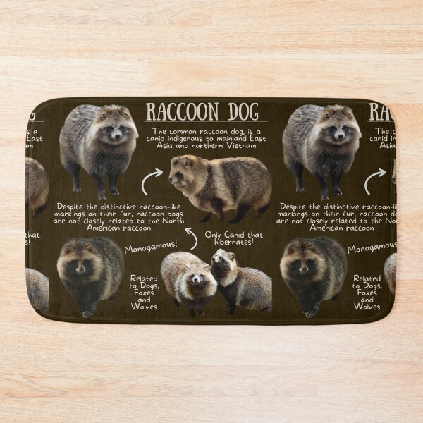 Item preview, Raccoon Dog Fun Fact designed and sold by KyleNesas.