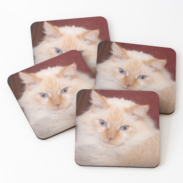 Item preview, Cat Turning Heads designed and sold by ianmark.