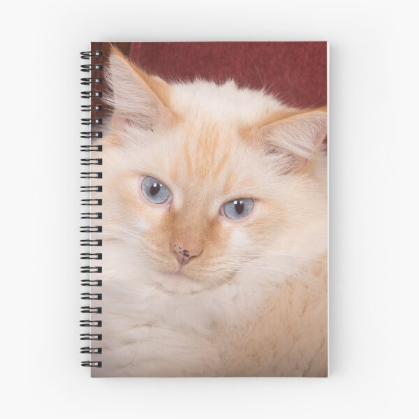Item preview, Cat Turning Heads designed and sold by ianmark.