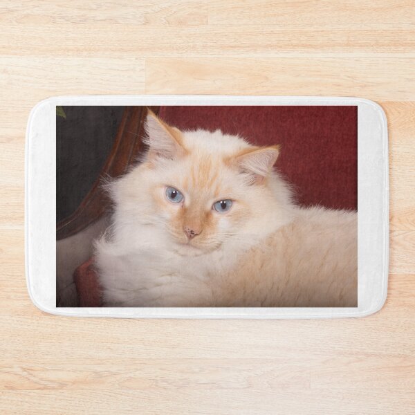 Item preview, Cat Turning Heads designed and sold by ianmark.