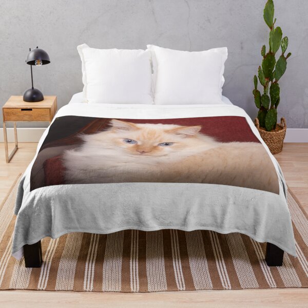 Item preview, Cat Turning Heads designed and sold by ianmark.
