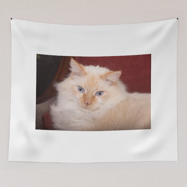 Item preview, Cat Turning Heads designed and sold by ianmark.