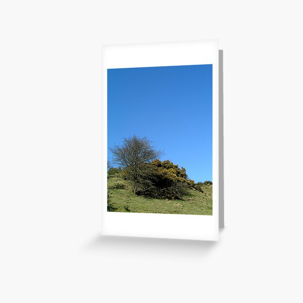 k54 Greeting Card