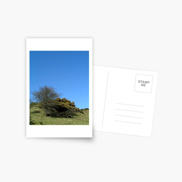 k54 Postcard