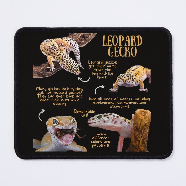 Item preview, Leopard Gecko Fun Facts designed and sold by KyleNesas.