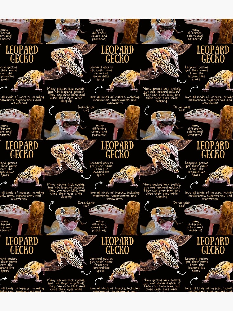 Leopard Gecko Fun Facts Backpack sold by Iris Yang | SKU 42469722