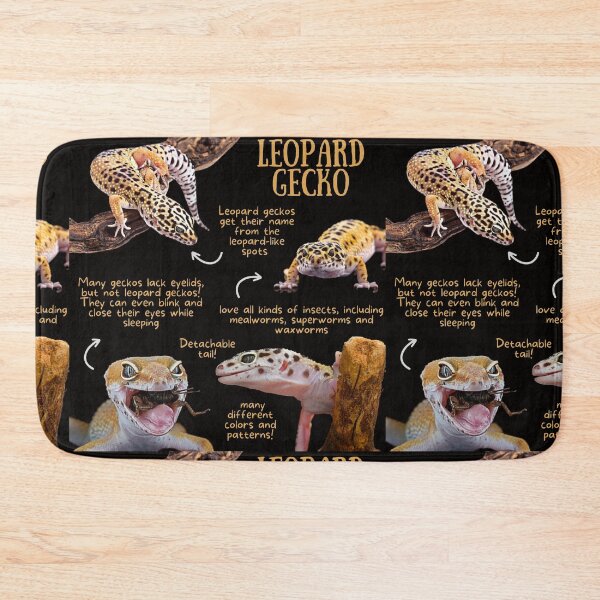 Item preview, Leopard Gecko Fun Facts designed and sold by KyleNesas.