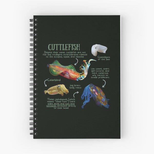Item preview, Cuttlefish Fun Facts designed and sold by KyleNesas.