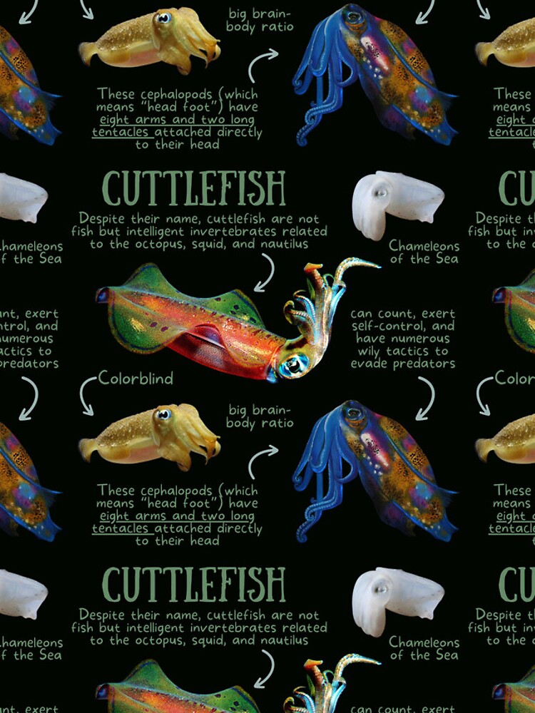 Cuttlefish Fun Facts iPhone Case for Sale by KyleNesas