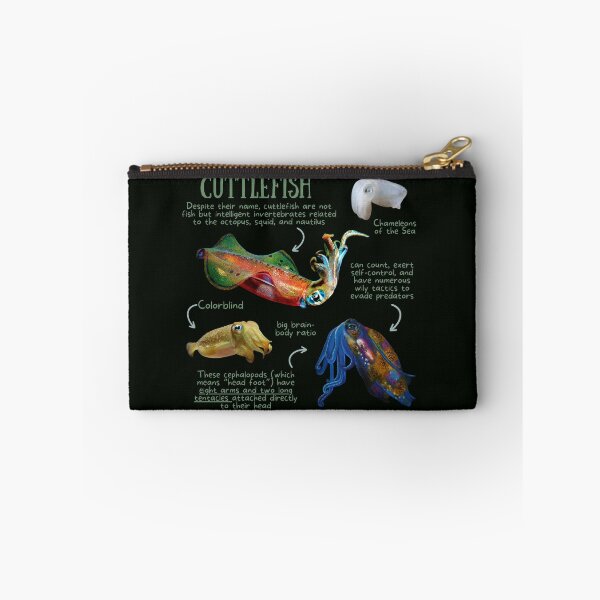 Item preview, Cuttlefish Fun Facts designed and sold by KyleNesas.