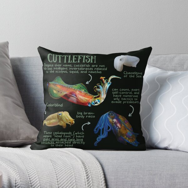 https://ih1.redbubble.net/image.3292697682.5401/throwpillow,small,600x-bg,f8f8f8-c,0,120,600,600.jpg