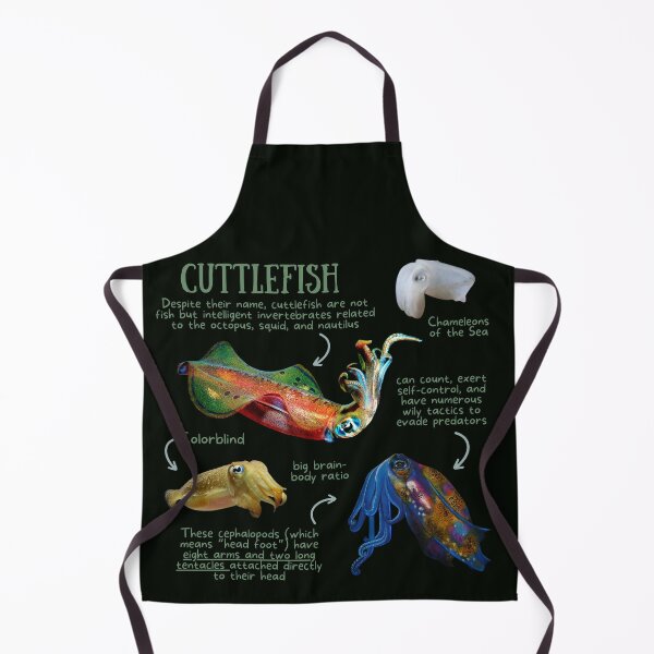 Item preview, Cuttlefish Fun Facts designed and sold by KyleNesas.