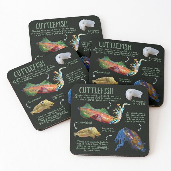Item preview, Cuttlefish Fun Facts designed and sold by KyleNesas.