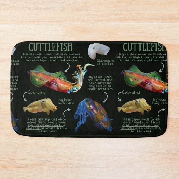 Item preview, Cuttlefish Fun Facts designed and sold by KyleNesas.
