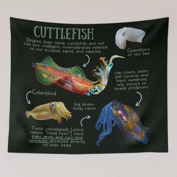 Item preview, Cuttlefish Fun Facts designed and sold by KyleNesas.