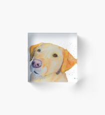 Bloque acrílico Gentle soul - labrador gift ideas