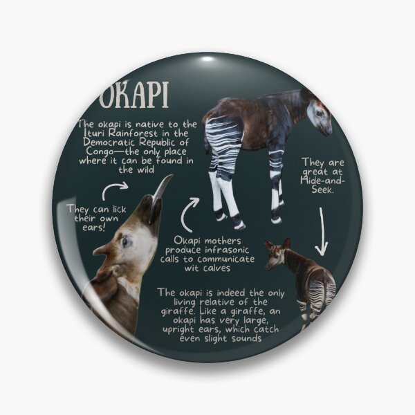 Item preview, Okapi Fun Facts designed and sold by KyleNesas.