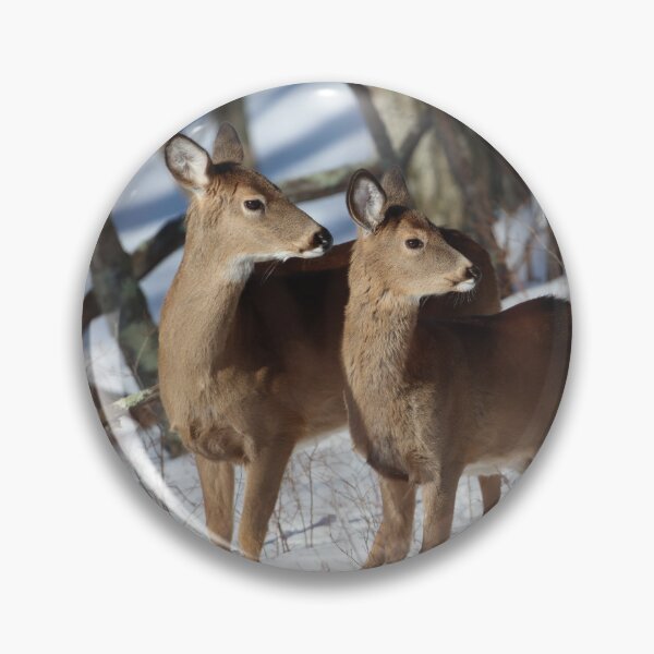 Item preview, I've got your back! designed and sold by LisaNaturePhoto.