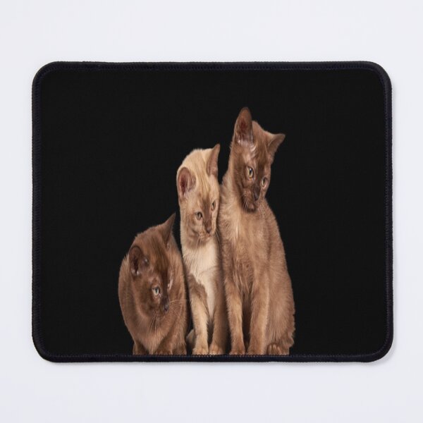 Item preview, Cats ahoy!!! designed and sold by julset.