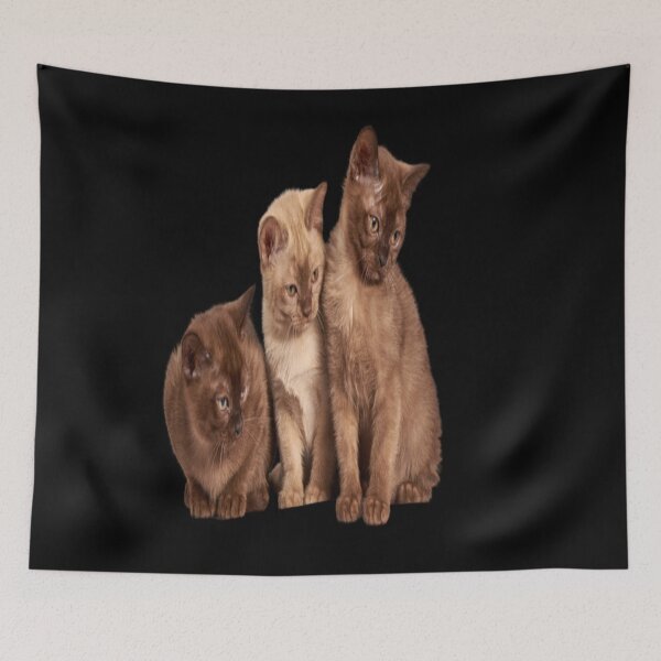 Item preview, Cats ahoy!!! designed and sold by julset.