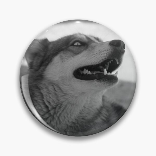 Item preview,  american gray wolf, gray and white wolf lovers, wolfes, pet wolf-dog designed and sold by Nicedeco.