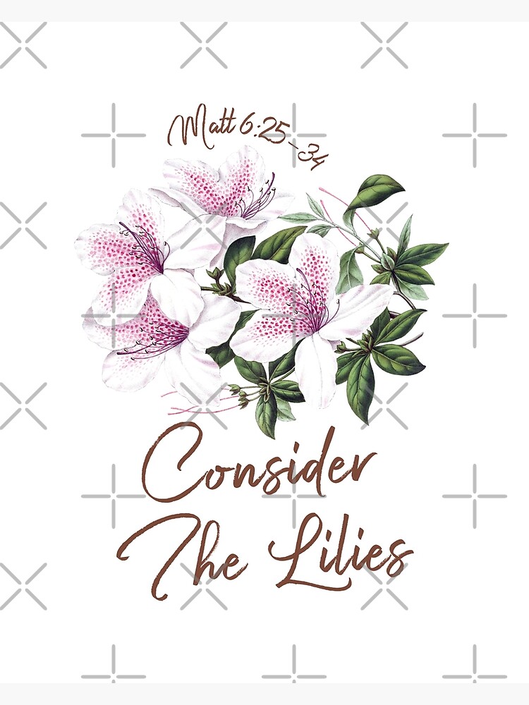 "Jesus Said Do Not Worry, Consider The Lilies, They Do Not Toil Nor