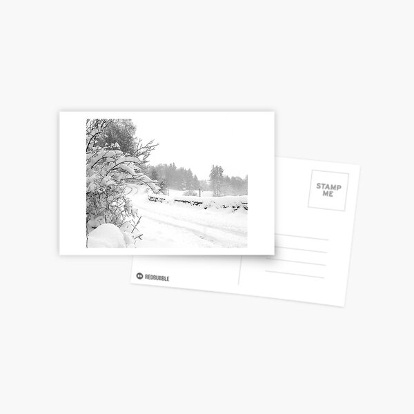 k66 Postcard