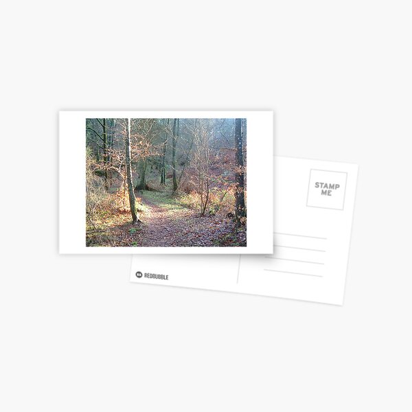k61 Postcard