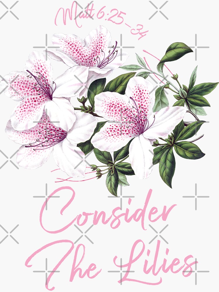 "Jesus Said Do Not Worry, Consider The Lilies, They Do Not Toil Nor