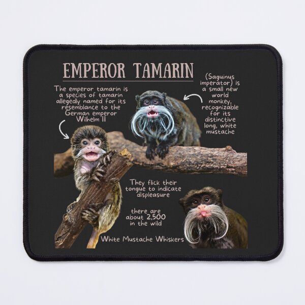 Item preview, Emperor Tamarin Monkey Fun Facts designed and sold by KyleNesas.