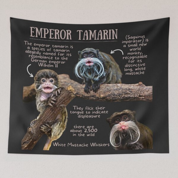 Item preview, Emperor Tamarin Monkey Fun Facts designed and sold by KyleNesas.