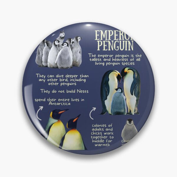 Item preview, Emperor Penguin Fun Facts designed and sold by KyleNesas.