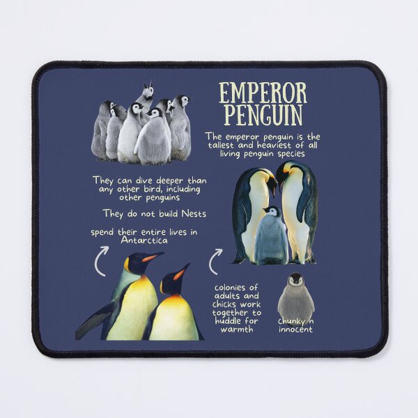 Item preview, Emperor Penguin Fun Facts designed and sold by KyleNesas.