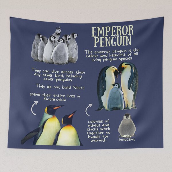 Item preview, Emperor Penguin Fun Facts designed and sold by KyleNesas.