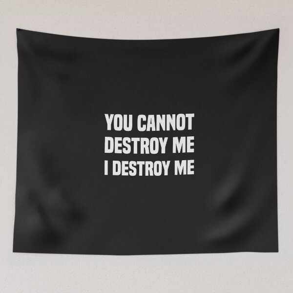Item preview, funny you cannot destroy me i destroy me designed and sold by Crystakim.