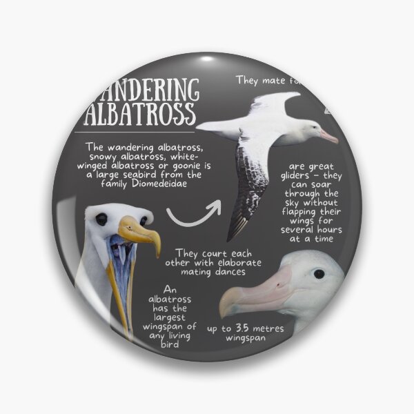 Item preview, Wandering Albatross Fun Facts designed and sold by KyleNesas.