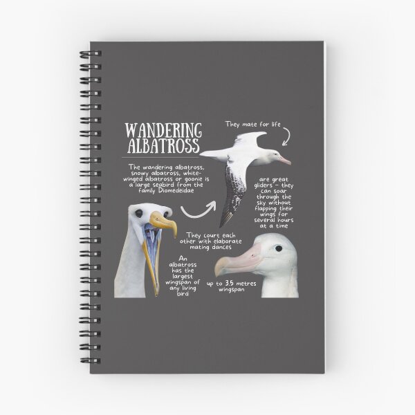 Item preview, Wandering Albatross Fun Facts designed and sold by KyleNesas.