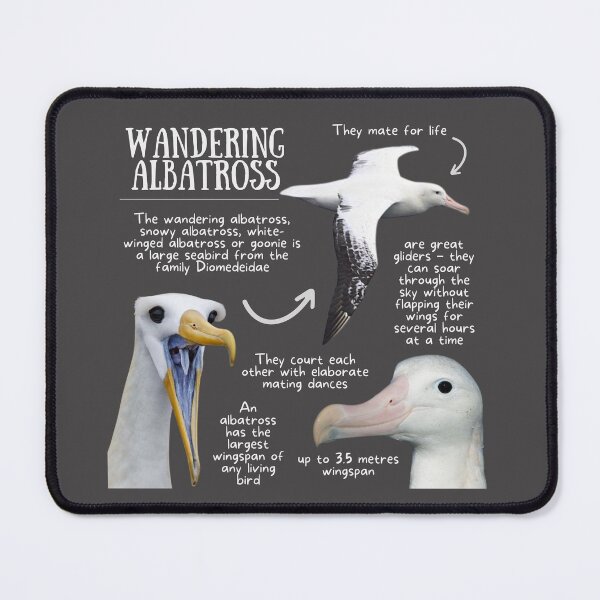Item preview, Wandering Albatross Fun Facts designed and sold by KyleNesas.