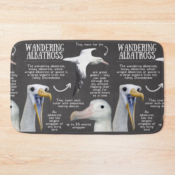 Item preview, Wandering Albatross Fun Facts designed and sold by KyleNesas.