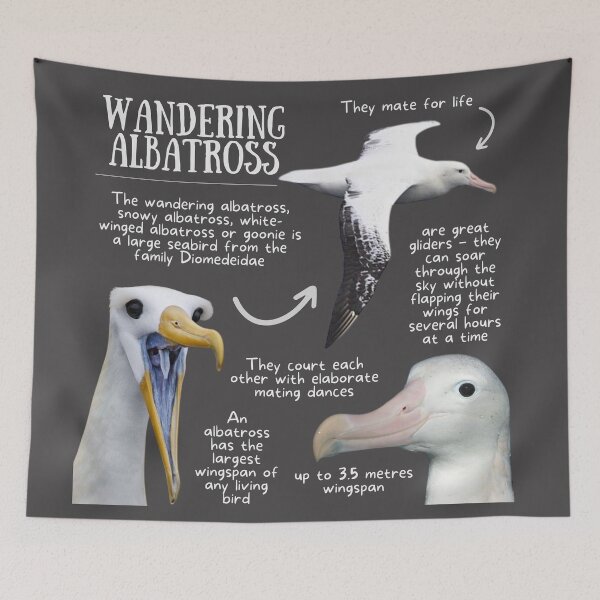 Item preview, Wandering Albatross Fun Facts designed and sold by KyleNesas.