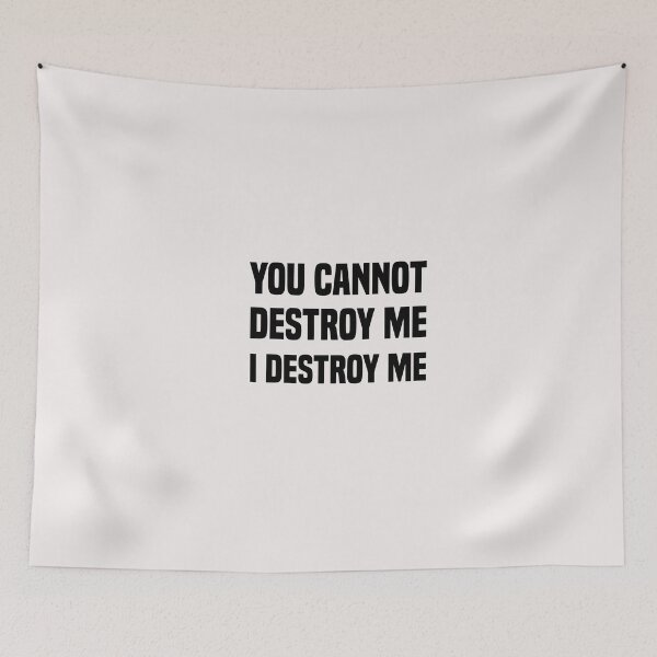 Item preview, funny you cannot destroy me i destroy me designed and sold by Crystakim.