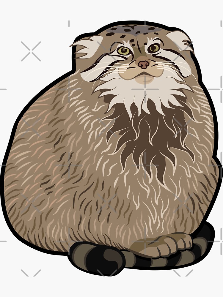 Thumbnail 3 of 3, Sticker, Pallas's Cat designed and sold by SteveGrime.